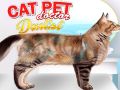 Jogo Gato Animal Doutor Dentista online
