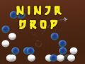 Jogo Queda Ninja online
