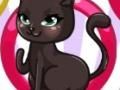 Jogo Designer de Moda para Gatos online