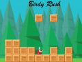 Jogo Corrida dos Pássaros online