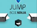 Jogo Ninja da Caixa de Pulo online