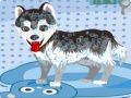 Jogo Meu cachorro fofo tomando banho online