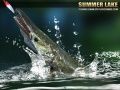 Jogo Lago de Verão 1.5 online Jogo Lago de Verão 1.5 online