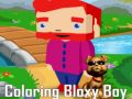 Jogo Colorindo o Bloxy Boy online