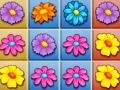 Jogo Colapso do Jardim Florescente online