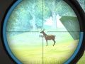 Jogo Treinamento de Caçador online