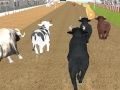 Jogo Corrida de Touros Irritados online