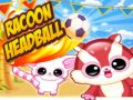 Jogo Cabeça de Guaxinim online