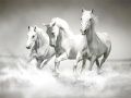 Jogo Quebra-cabeça de cavalos online Jogo Quebra-cabeça de cavalos online