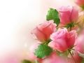 Jogo Rosas Pink online