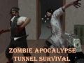 Jogo Sobrevivência no túnel do apocalipse zumbi online