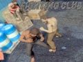 Jogo Clube de Luta online