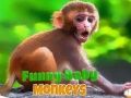 Jogo Bebê macaco engraçado online Jogo Bebê macaco engraçado online