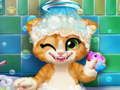 Jogo Banho de Gato Enferrujado online