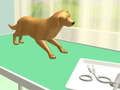 Jogo Cuidado das Patas online Jogo Cuidado das Patas online
