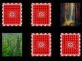 Jogo Memória da Floresta online