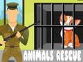 Jogo Resgate de Animais online