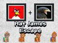 Jogo Fuga do James com o Chapéu online