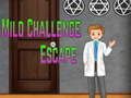 Jogo Escape do Desafio Leve Amgel online