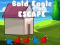 Jogo Fuga da Águia Careca online