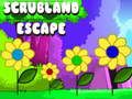 Jogo Fuga do Cerrado online