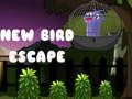 Jogo Novo Escape de Pássaro online