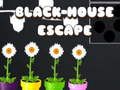 Jogo Escape da Casa Preta online