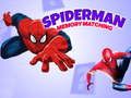 Jogo Jogo da Memória do Homem-Aranha online