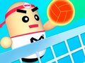 Jogo Vôlei 3D Incrível online