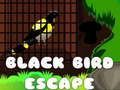 Jogo Escape do Pássaro Preto online