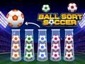 Jogo Classificação de Bola Futebol online