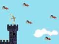 Jogo Caçador de Pássaros online