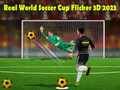 Jogo Copa do Mundo de Futebol Real Flicker 3D 2023 online Jogo Copa do Mundo de Futebol Real Flicker 3D 2023 online