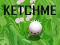 Jogo Pegue-me online