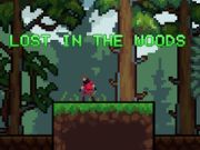 Jogo Perdido na Floresta online