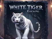 Jogo Fuga do Tigre Branco online