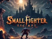 Jogo Escape do Pequeno Lutador online