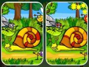 Jogo Diferenças em Fotos de Insetos online