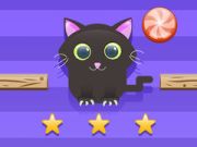 Jogo Desafio do Gato online