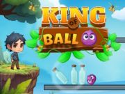 Jogo Rei da Bola online