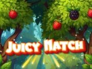Jogo Combinação Suculenta online