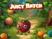 Jogo Partida Suculenta online