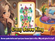 Jogo Crazy Screw King online