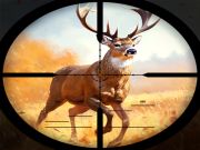 Jogo Clash de caça selvagem online