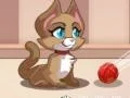 Jogo Bolas de Gato online
