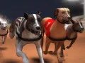 Jogo Corrida de Greyhounds online Jogo Corrida de Greyhounds online