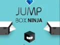 Jogo Ninja da Caixa de Pulo online Jogo Ninja da Caixa de Pulo online