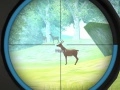 Jogo Treinamento de Caçador online