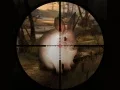 Jogo Caça Clássica ao Coelho Sniper 2019 online
