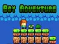 Jogo Aventura do Menino online